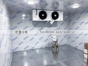 东莞电子厂小型材料冷藏冷库安装案例