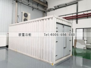 湖南弘辉科技有限公司-18℃集装箱冷冻冷库安装